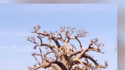 Nathalie VALLIERES, Psychologue à Saint-Maximin-la-Sainte-Baume