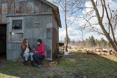 Marie Blondet Thérapeute, Psychothérapeute à Gerardmer