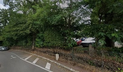 Daniele SEROUGNE, Psychologue à Sèvres