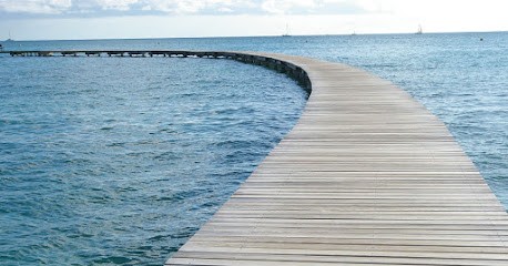 Emilie Carré Berton-Granié - Psychologue Clinicienne, Psychologue à Montigny-le-Bretonneux