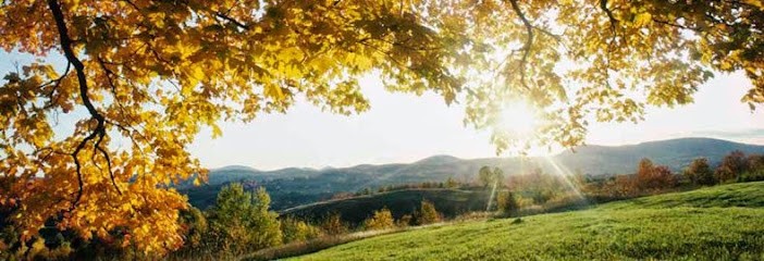 Jérôme Bénistant (cabinet de psyphothérapie), Psychothérapeute à Lyon 05