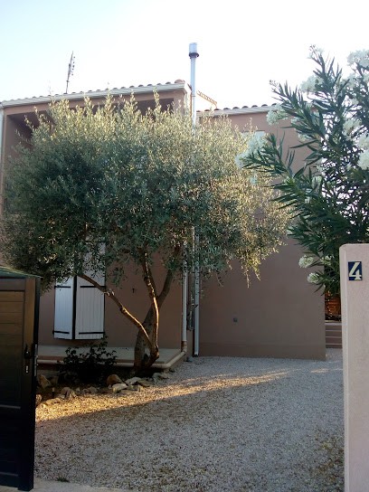 Céline Ham psychologue Teyran, Psychologue à Teyran