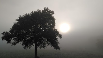 Martin Jennifer, Psychologue à Périgueux