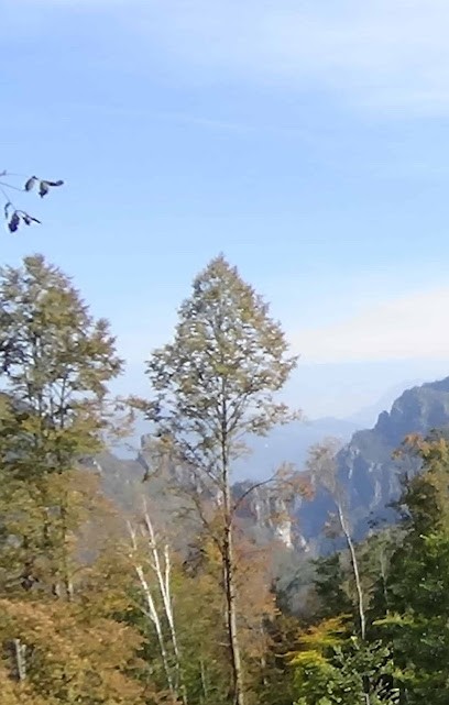 Manon OLLIVIER - Psychologue, Psychologue à Saint-Nazaire
