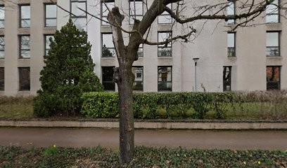 Marta Alvarado, Psychothérapeute à Chatou