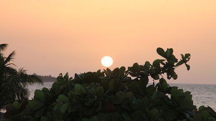 Simondi-Rios Valérie, Psychothérapeute à La Garde