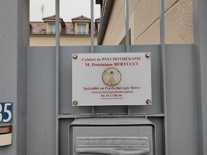 Dominique Bertucci, Psychothérapeute à Saint-Gratien