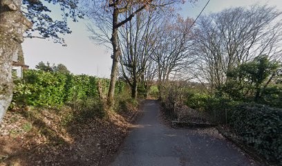 Detremmerie Anne, Psychothérapeute à Dardilly