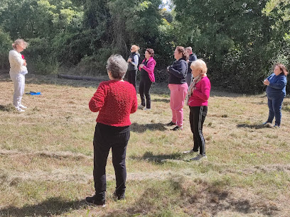Tabet Gaillard Médy Psychanalyste à Montluçon