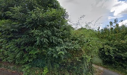 Libération Energétique, Psychothérapeute à Saint-Genis-l'Argentière