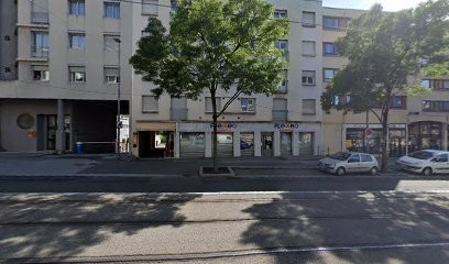 Isabelle Guerreiro, Psychothérapeute à Bron