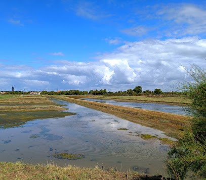 Marennes, Psychothérapeute à Vergeroux