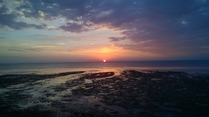 Psychologue, Psychothérapeute Emilie David, Psychologue à Hiers-Brouage