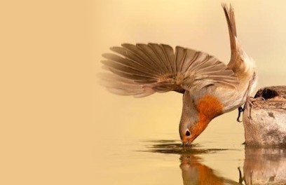 Les maux à dire, Psychothérapeute à Mougins