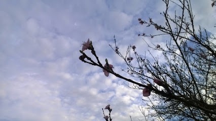 Cabinet de Psychologie Suzanne KACELI Neuropsychologue - TCC, Psychologue à Saint-Georges-d'Espéranche