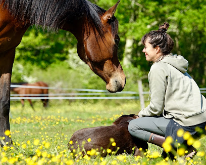 Equinetix - Médiation Équine Psychothérapeute à Moulis-en-Médoc