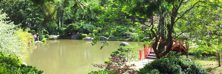 Isabelle Devos Psychologue Lambersart, Psychologue à Lambersart