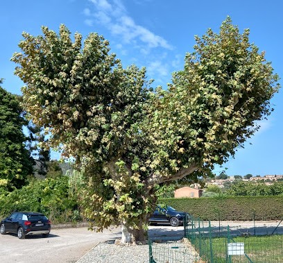 SEBASTIA Joëlle Psychologue Psychothérapeute, Psychologue à Pégomas