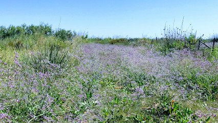 Psychologue Cathy Jarguel, Psychologue à Mudaison