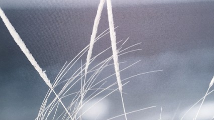 Alisson Dumay-Pelloux - PSYCHOLOGUE, Psychologue à Marly