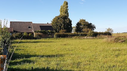 Christine Duployez, Psychothérapeute à Maroeuil