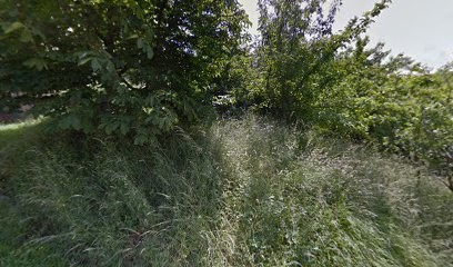 Olivier Duveau : Psychothérapeute, Psychothérapeute à Cransac