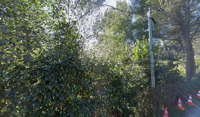 Prugniaud Marie, Psychanalyste à Marseille 11