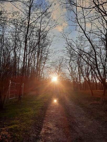 Maurer Fabienne Psycho-somatothérapeute, Psychothérapeute à Flexbourg