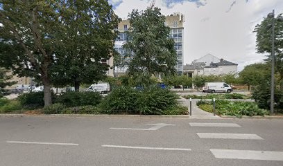 HPI HPE Aube, Psychanalyste à Troyes