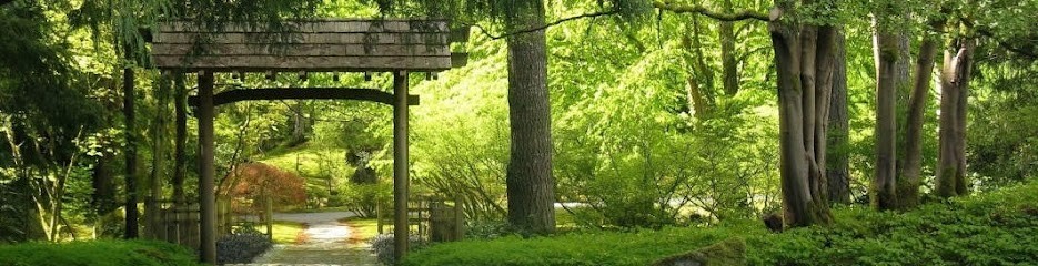 GUYOMARD Florentina, Psychologue à Gouvieux