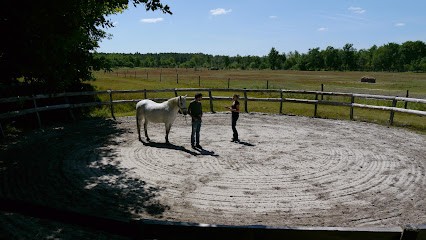 Cheval Eventail, Psychothérapeute à Lit-et-Mixe
