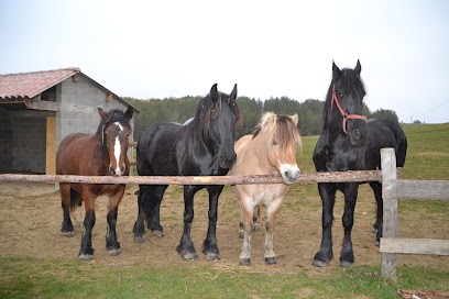 EQUIPOWER Therapie Avec L'aide Du Cheval, Psychothérapeute à Puygaillard-de-Quercy