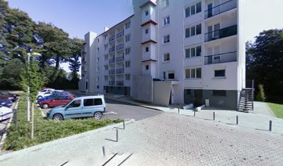 Chambrin Ludivine, Psychothérapeute à Landerneau