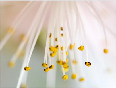 Anne-Laure Thomas, Psychothérapeute à Colombes