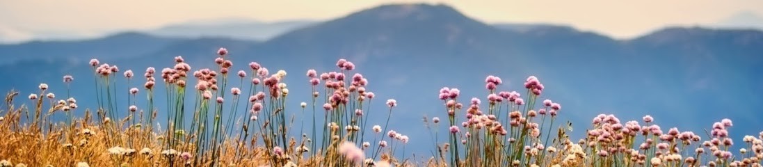 Angélique Pannetier Chatard Psychologue Mozac Riom Cébazat, Psychologue à Mozac