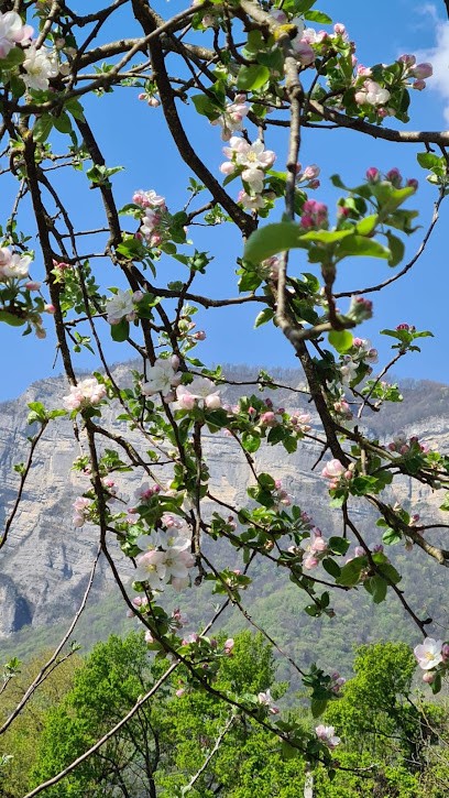 Michèle Delater, Psychanalyste au Touvet