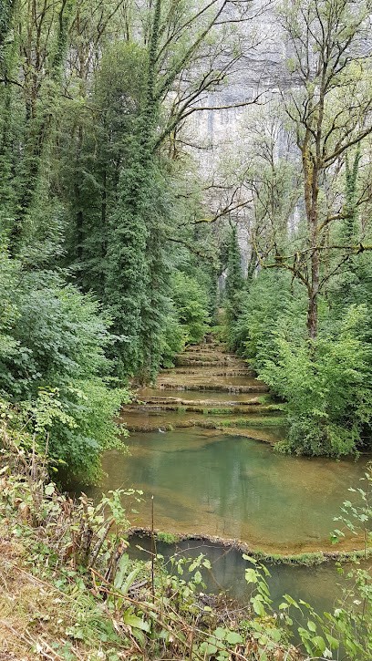 Aurélie GAUTHIER - Psychologue clinicienne à Montbéliard, Psychologue à Montbéliard