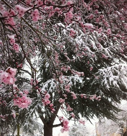 Psychologue Nathalie Gerhardt, Psychologue à Groslay