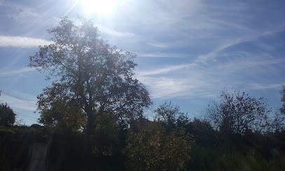 Elodie Valcy, PSYCHOLOGUE Saint-Georges d'Espéranche, Psychologue à Saint-Georges-d'Espéranche