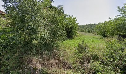 Juliette OLIVIER, Psychologue à Largentière