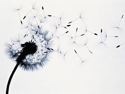 Amandine DUMORA, Psychologue à Irigny