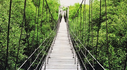 Passerelle Institut, Psychothérapeute à Pézenas