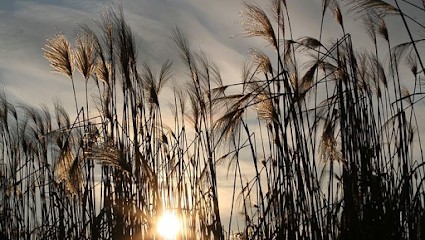 Marie Lourdais, Psychologue à Gentilly