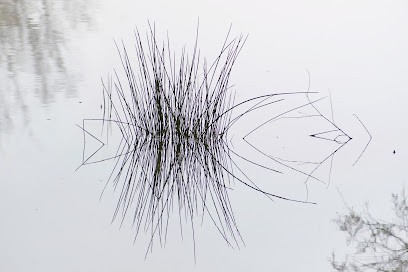 Florence Leconte - psychologue, Psychologue à Vergèze