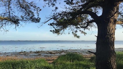 Camille Peninon, Psychologue à Maisons-Alfort