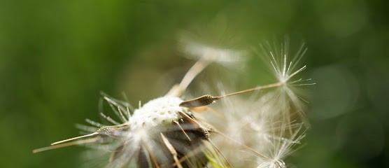Psychologue Pertuis Émeline GERAUD, Psychologue à Pertuis