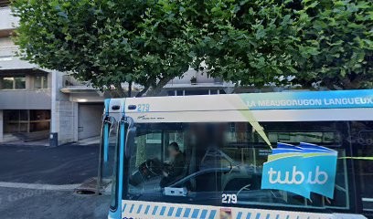 Verdin Cécile, Psychanalyste à Saint-Brieuc