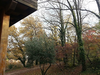 Cabinet de Psychothérapie et Graphothérapie Murielle Keip, Psychothérapeute à Loriol-sur-Drôme
