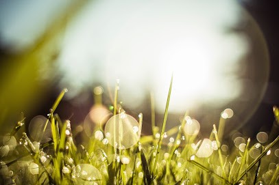 Ewa Caurette (Psychologue - Psychothérapeute), Psychologue à Neauphle-le-Château