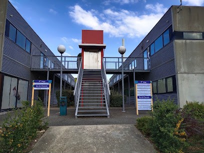 Thérapie Brève Bordeaux - Rive droite - Lormont - Thérapie à distance - Âme & Sens Rachel Ylang Thérapeute, Psychothérapeute à Lormont